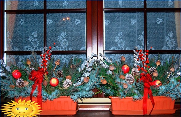 How to decorate windows for the New Year: photo examples