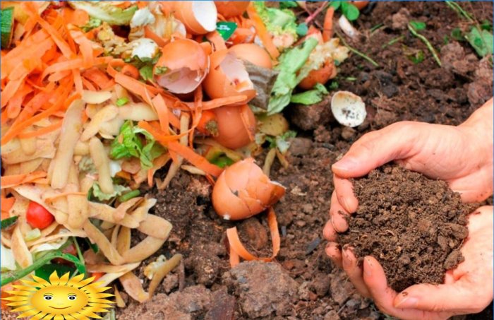 Making a compost heap - six main ingredients