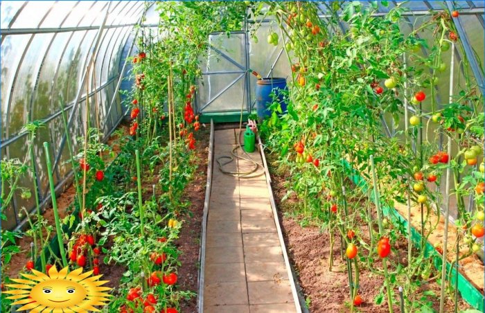 How to make a greenhouse as convenient as possible for work