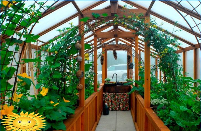 How to make a greenhouse as convenient as possible for work