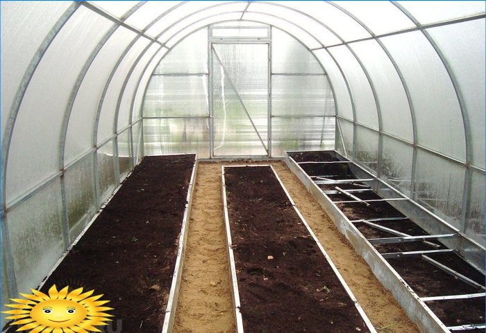 How to prepare your greenhouse for spring planting