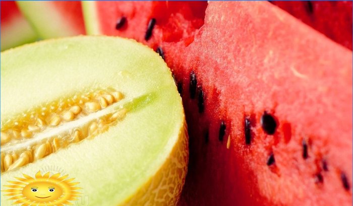Melon and watermelon seeds