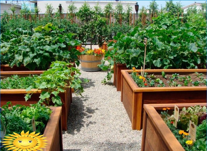 Organic farming: how to create smart beds