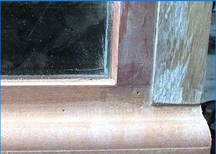 Painting wooden windows