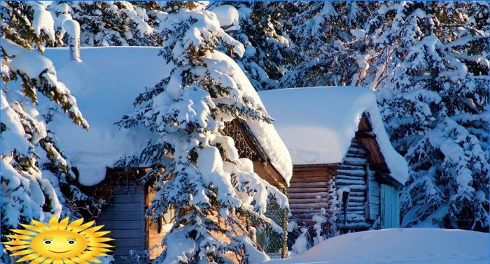 Photo collection: Russian winter in the village