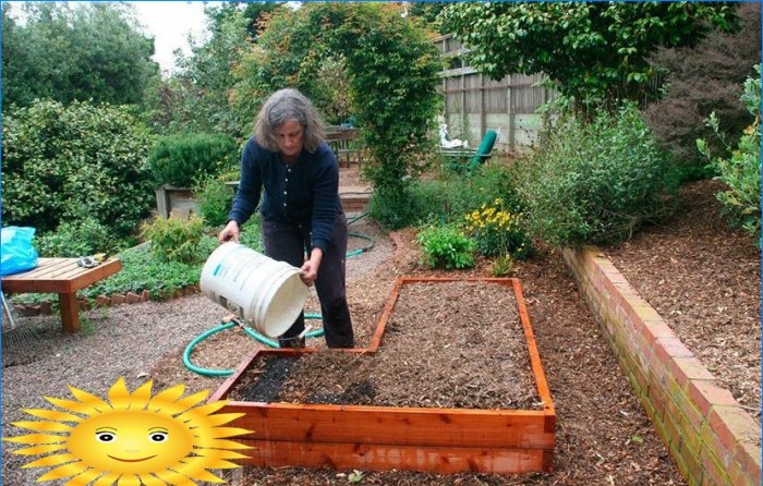 Cardboard barrier and mulching your garden beds