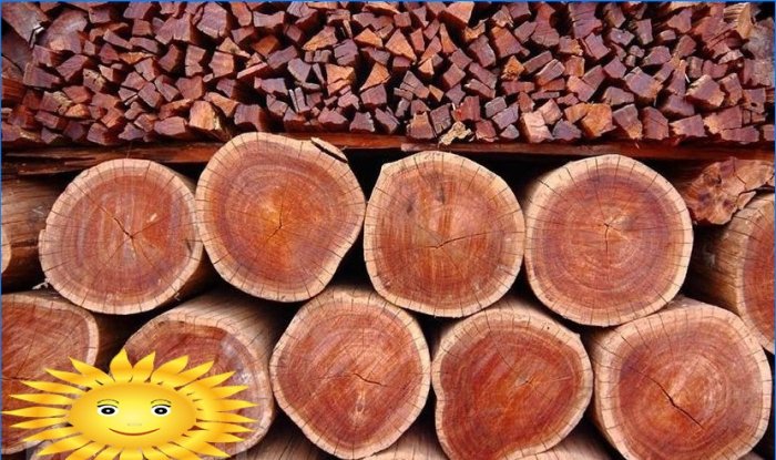 The hardest wood species. Wood properties, application secrets