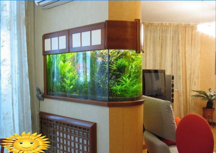The underwater kingdom in your home - an aquarium in the interior