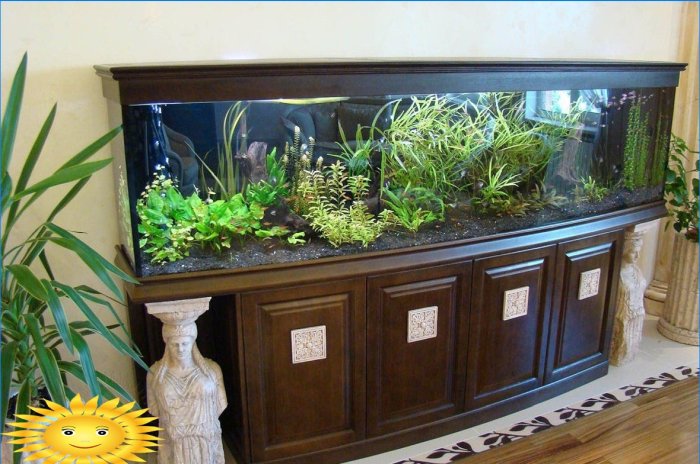 The underwater kingdom in your home - an aquarium in the interior