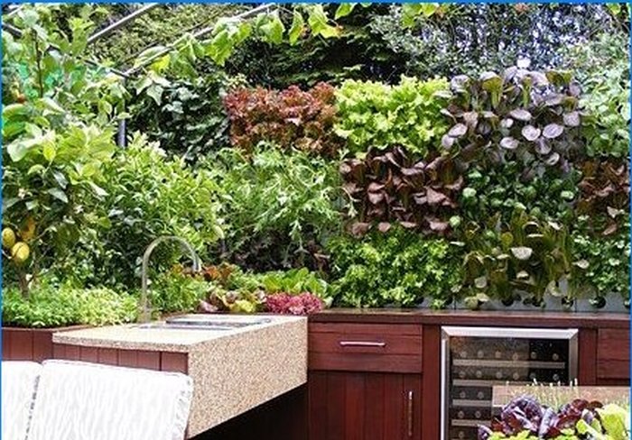 Vertical garden in the interior and outdoors
