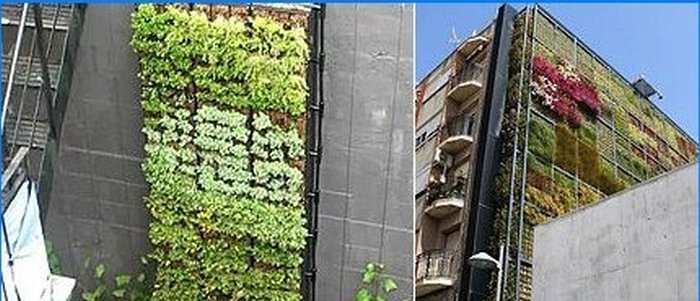 Features of fastening the structure of a vertical garden