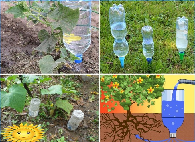 Drip irrigation from plastic bottles