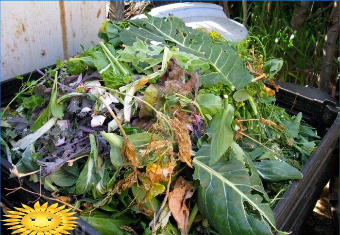 What can be put in a compost heap