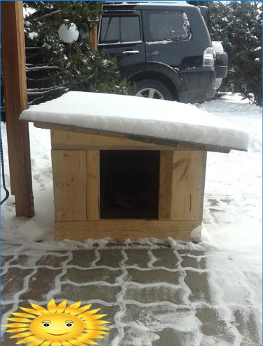 Winter dog house