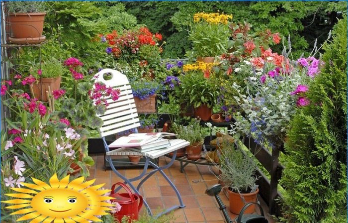 Winter garden on the balcony or landscaping the balcony with your own hands