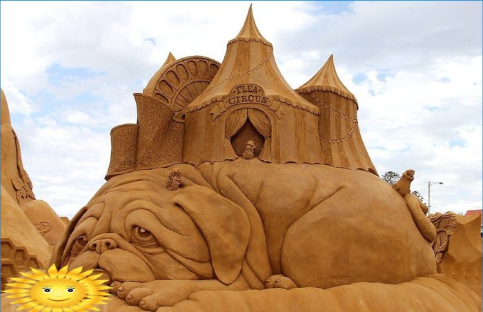 Sand sculptures: photo selection