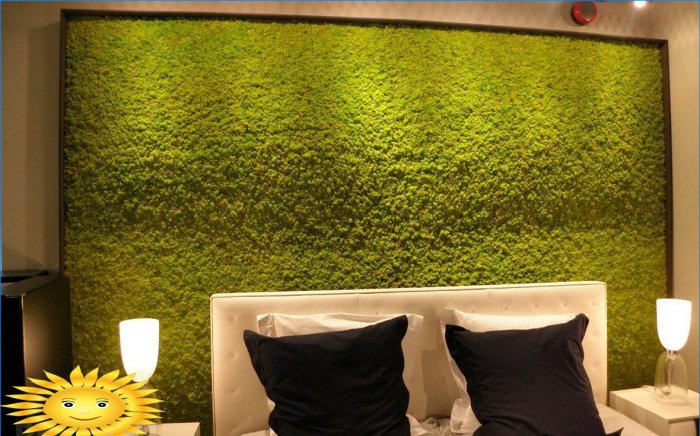Stabilized moss in the interior: vertical gardening and phytomodules