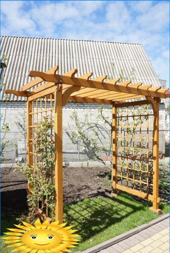 Supports, arches, bush holders and trellises in the garden