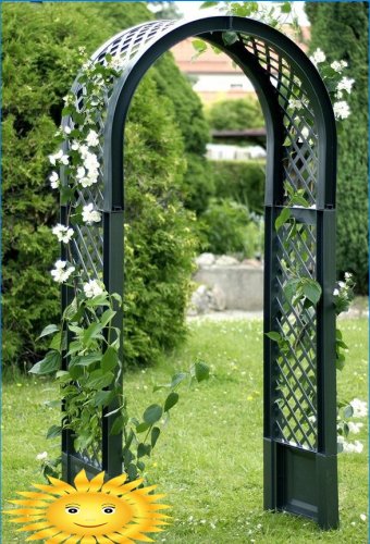 Supports, arches, bush holders and trellises in the garden