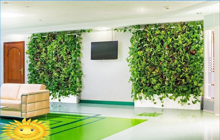 Living wall of plants