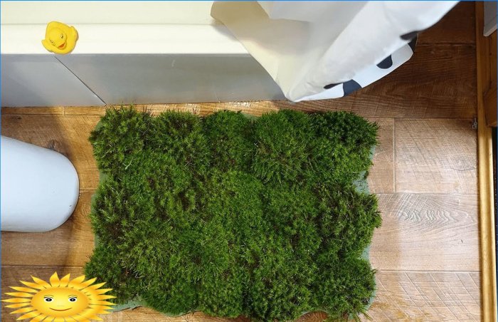 DIY moss rug