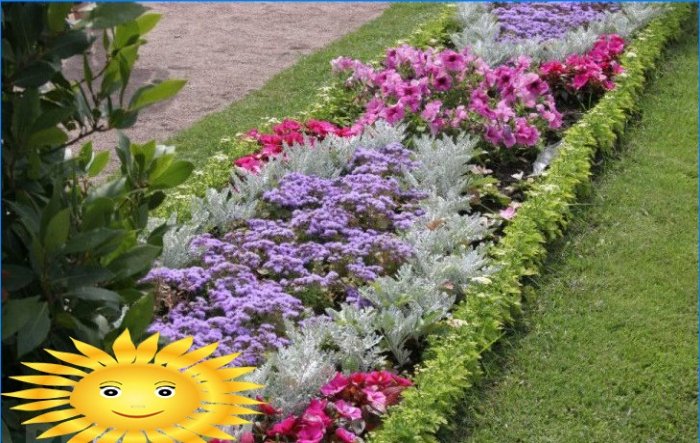 We equip a flower garden on the site - choose the best option