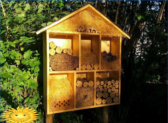 House for bees