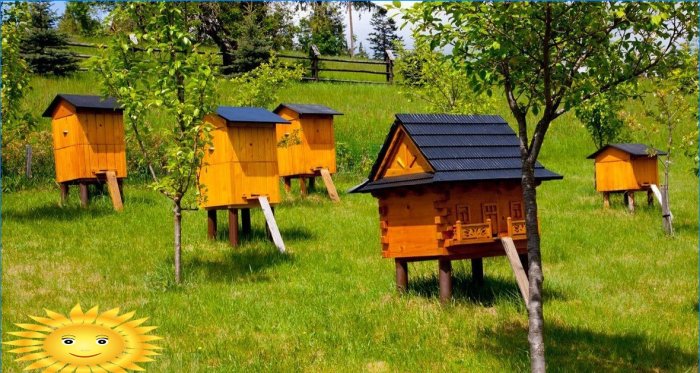 Wooden houses for bees