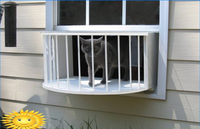 Aviary for cats