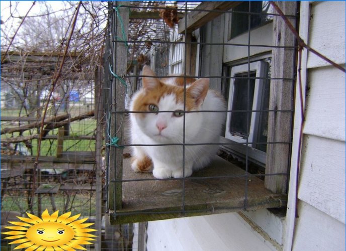 Aviary for cats
