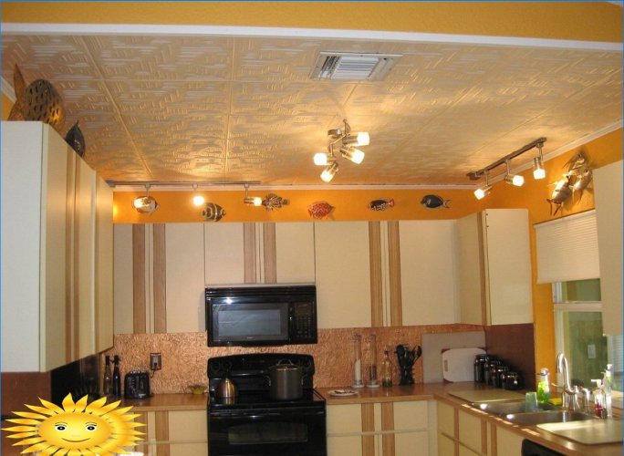Ceiling tiles for kitchen