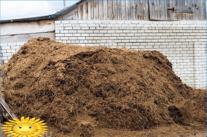 Manure for substrate preparation