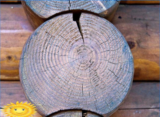 Cracks in logs: causes and methods of struggle