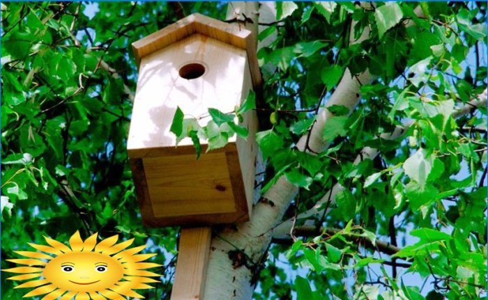 Birdhouse for starlings