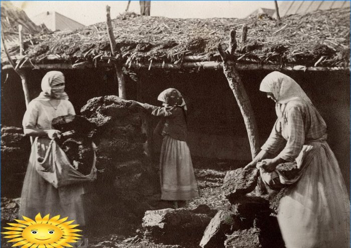 Kuban Cossacks harvest dung