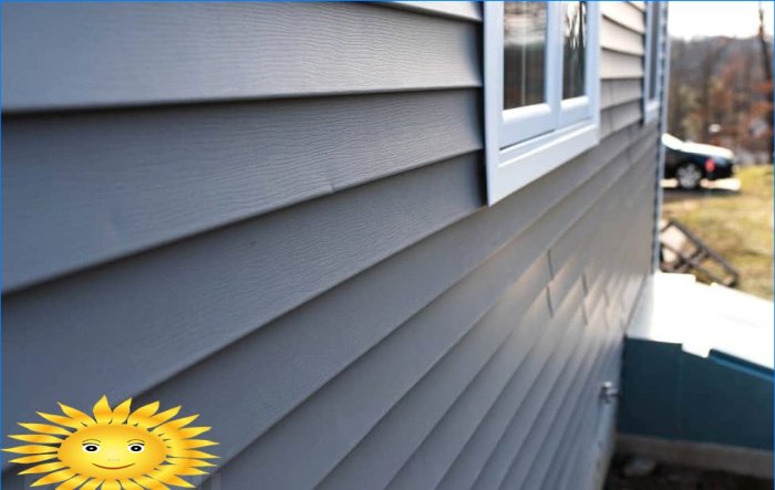 How and how to paint vinyl siding