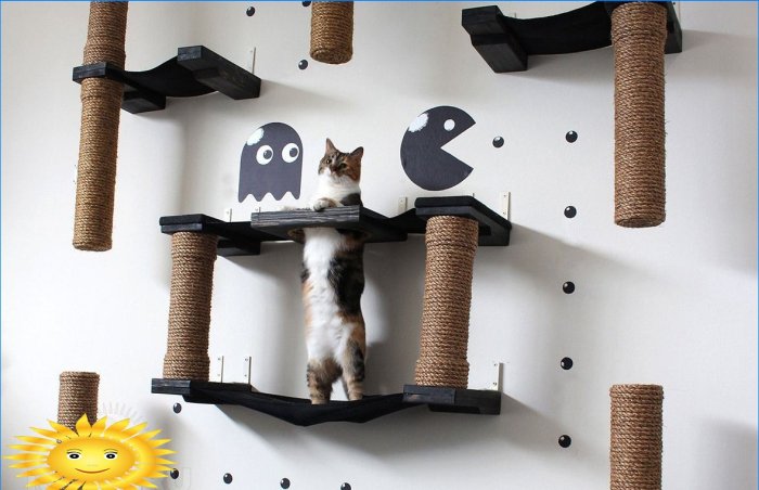 Play complex for cats