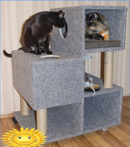 Cat house maze