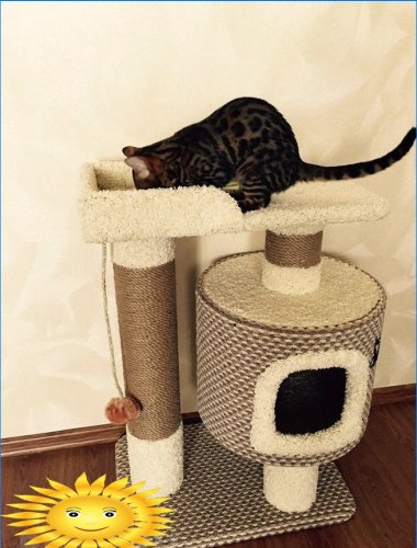 House-scratching post for a cat