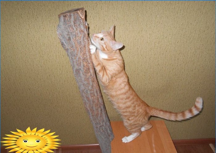 Scratching post made of wood