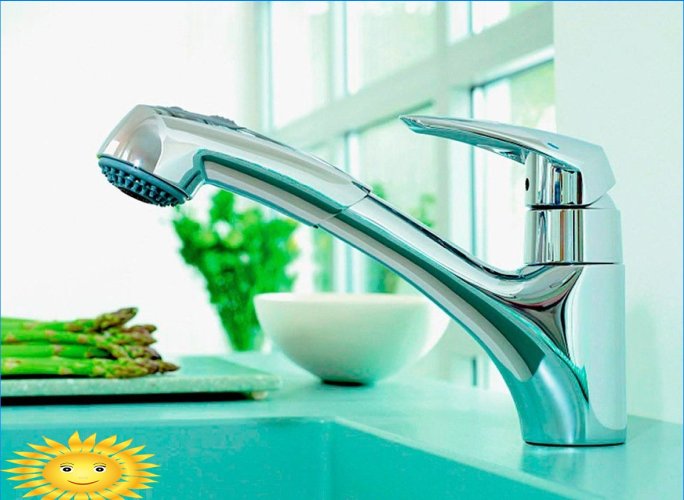 How to choose a faucet for the kitchen