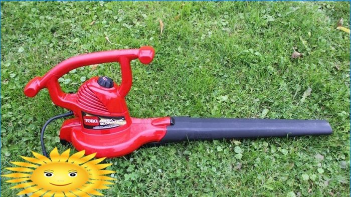 How to choose a garden vacuum blower