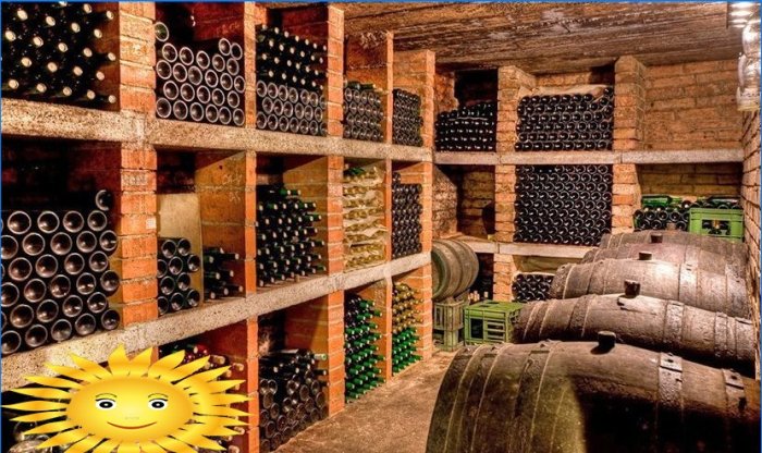 How to make a cellar with ventilation in the country with your own hands