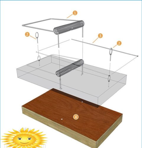 How to make a simple mousetrap with your own hands