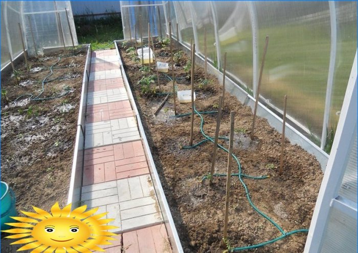 How to make automatic watering in a greenhouse
