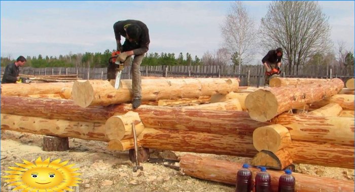 Log felling technologies: description, pros, cons, examples