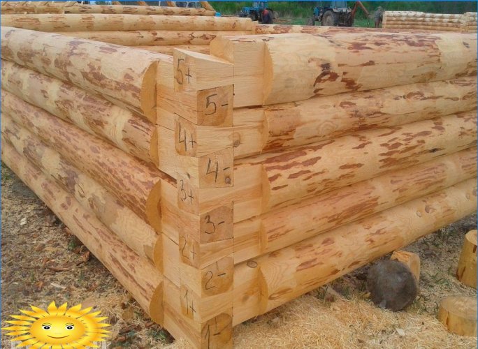Log felling technologies: description, pros, cons, examples