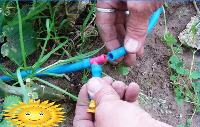 Master class: how to make drip irrigation of plants in a greenhouse