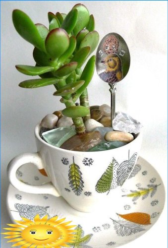 Mini garden in a cup