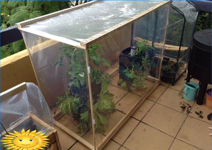 Mini greenhouse on the balcony